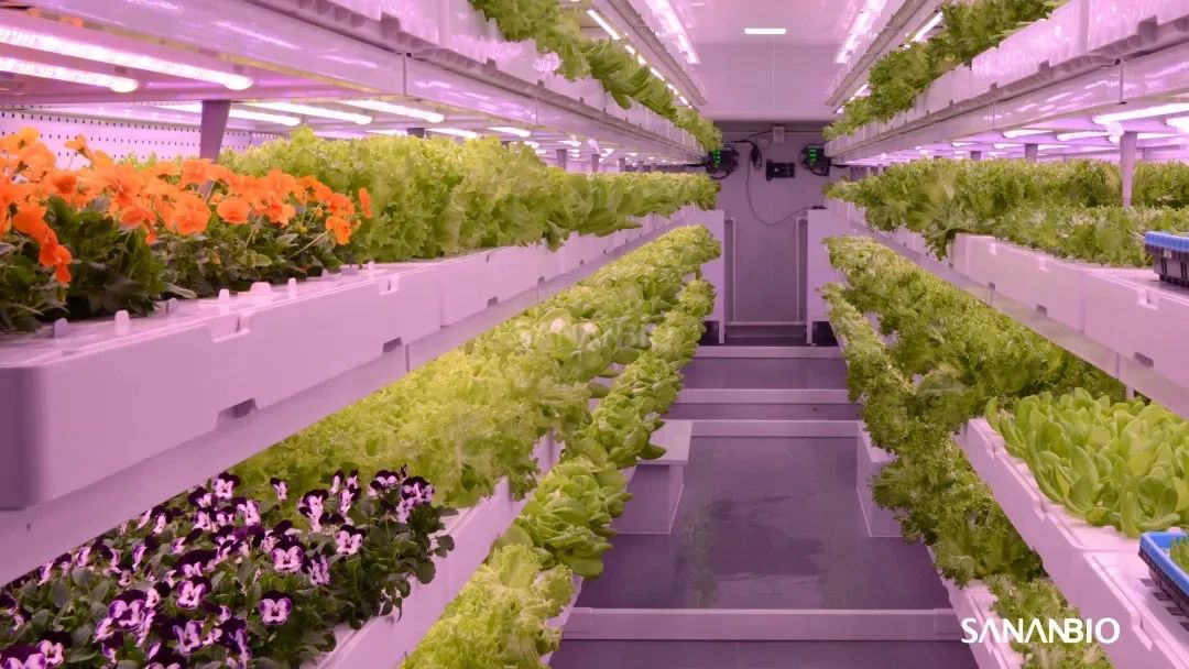 這家公司擬公開發(fā)行2363萬股 LED植物照明電源業(yè)務(wù)表現(xiàn)搶眼